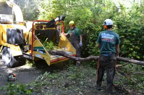 tree services Brimfield